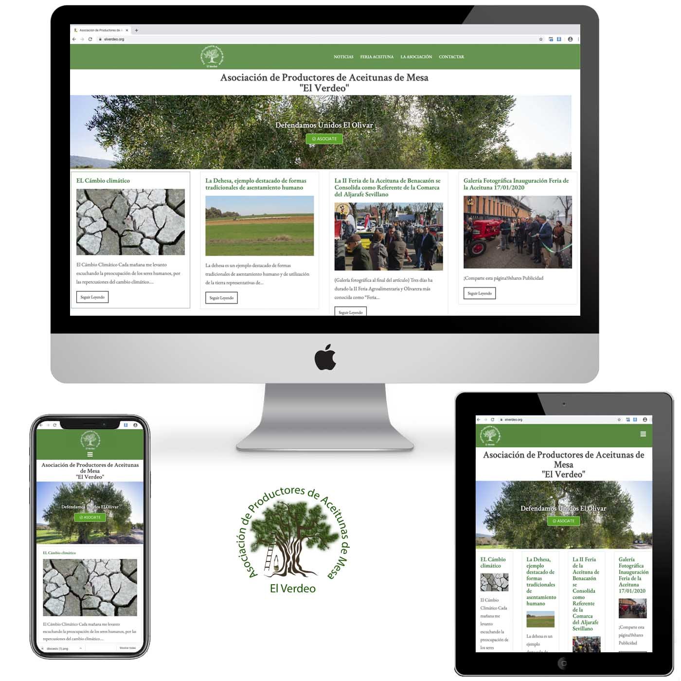 Proyecto Página Web Asociación de Productores de Aceitunas de Mesa El Verdeo
